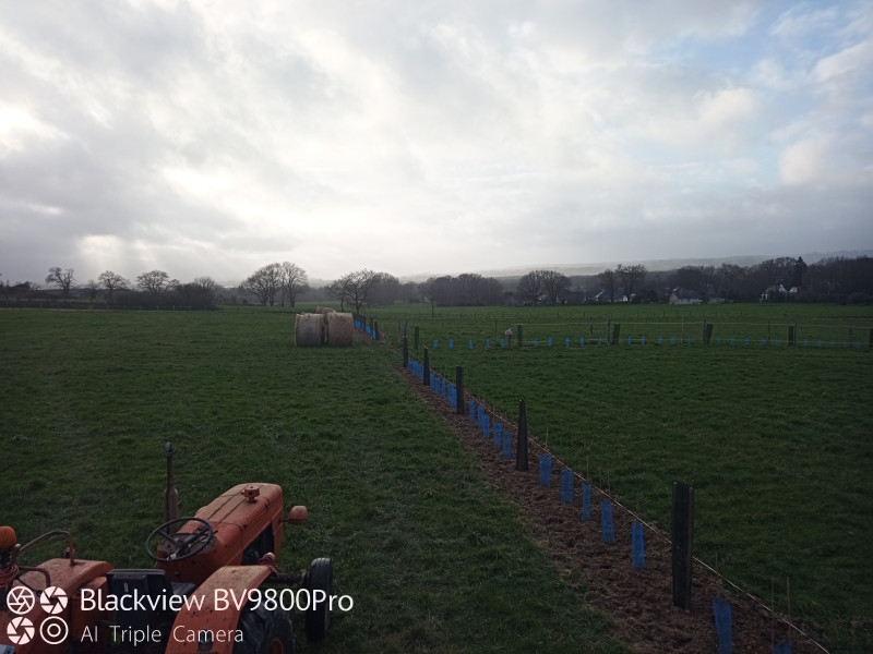 IMG_20230311_180524.jpg (252.89 Kio) Vu 1720 fois IMG_20230311_180524.jpg