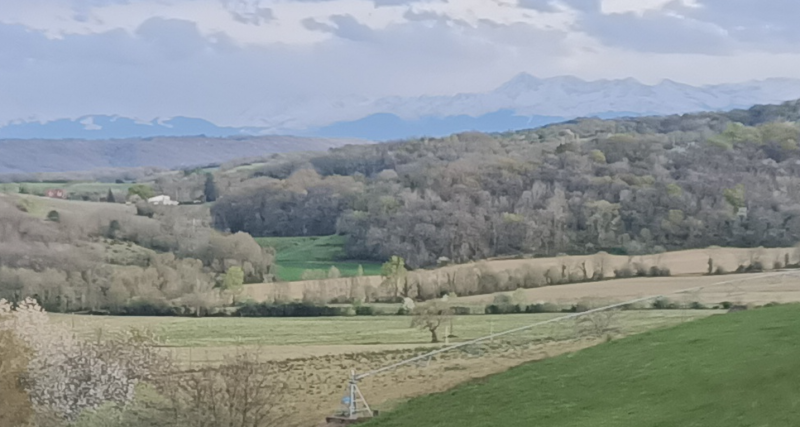 Les Pyrénées avec le Pic du Midi_ 2024-03-27 194743.png