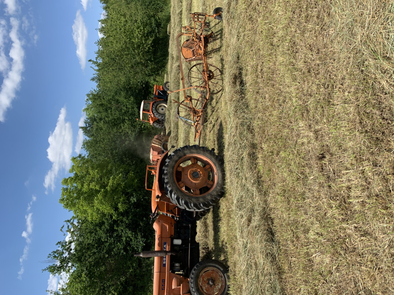IMG_3081.jpeg