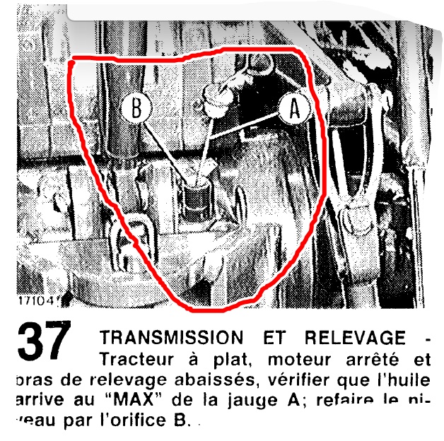 fiat.jpg