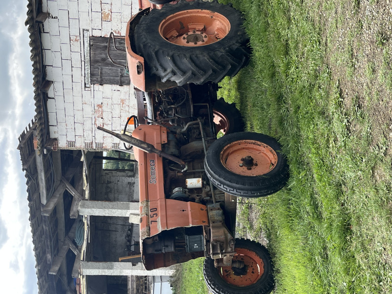 IMG_3628.jpeg