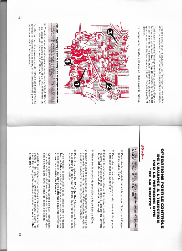 pompeà injection.jpeg