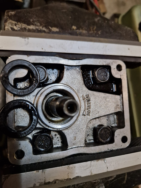 WhatsApp Image 2026-03-28 at 19.35.41.jpeg