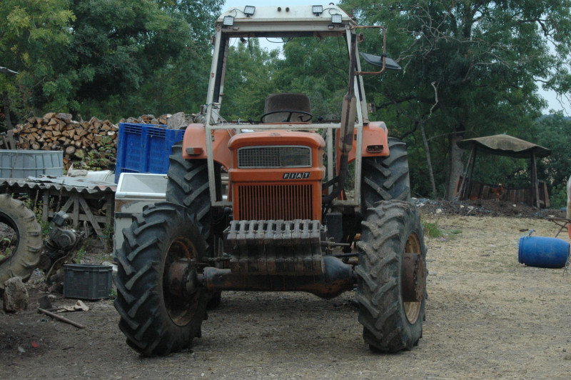 DSC_7084.JPG