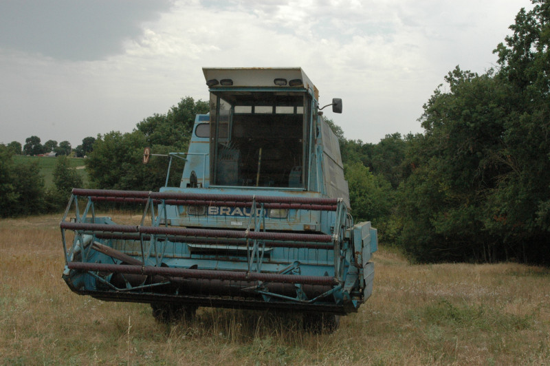 DSC_7088.JPG